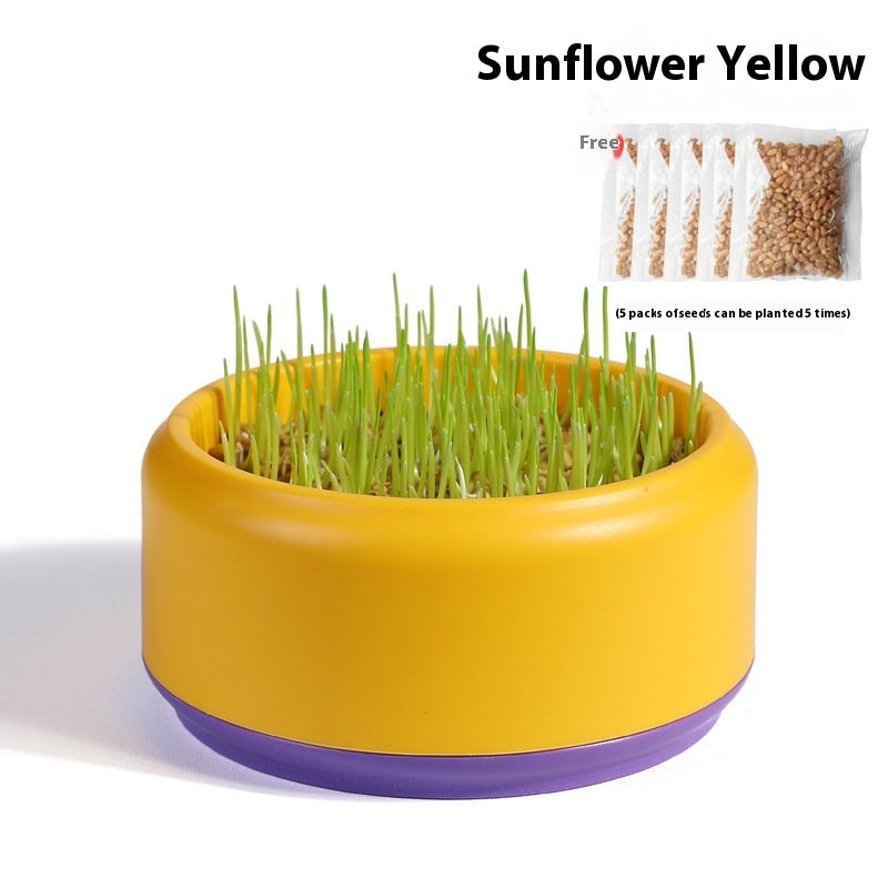 Potted Seeds Soilless Hydroponic Cat Grass