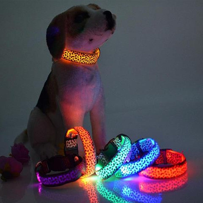 Pet Collars