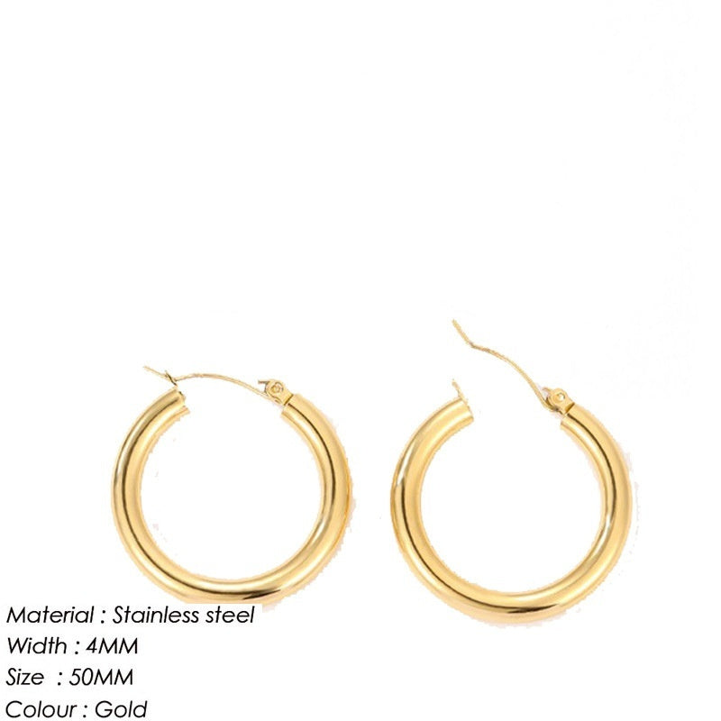 Women's Stainless Steel Fabulous Personality Earrings