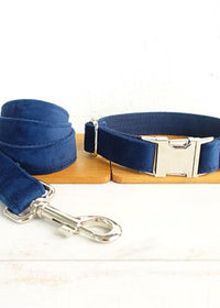 Collar plus Leash