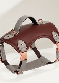 Saddle Brown