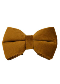 Bow2