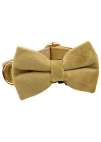 Bow3