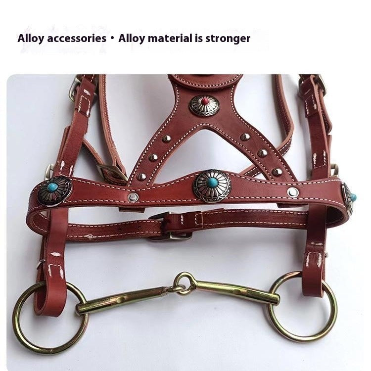 Horse Halter Pure Cowhide Equipment Dragon Cover Metal Buckle Elegant