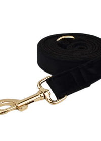 Dog leash1