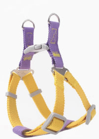 Yellow Purple