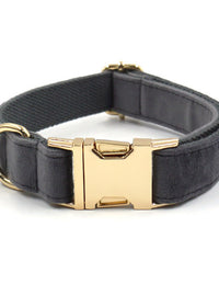 Gold Buckle Collar