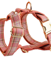 Dog Vest