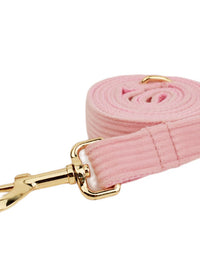 Dog leash2