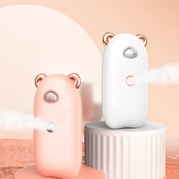Facial Steamer