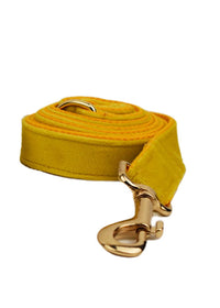 Dog leash1