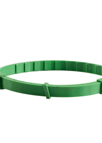 Cat green