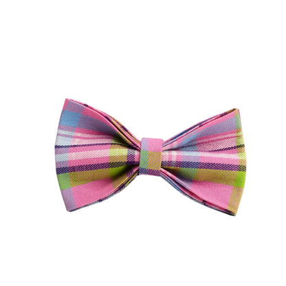 Qicaigei Dog Collar Pet Collar Traction Rope