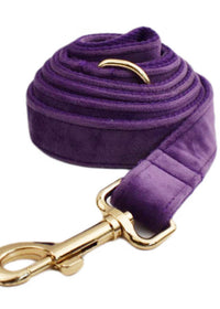Dog leash3