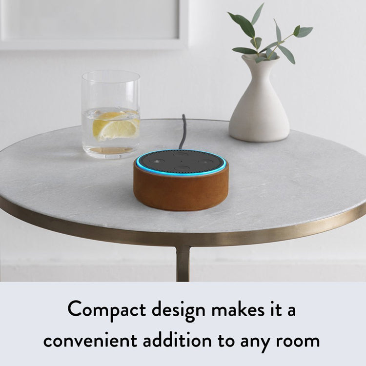 The Third Gen Voice: Smart Speaker Voice Assistant
