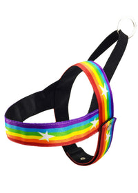 Chest strap S