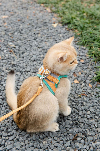 Cat Traction Rope Vest-Style Reflective Chest Harness Anti-Stroke Resistance Cute Go Out Dog Traction Rope Special Rope For Walking Cats