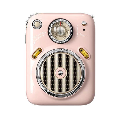 The Four-in-One: FM Radio Smart Bluetooth Speaker