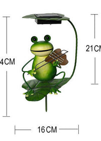 Frog plays the violin
