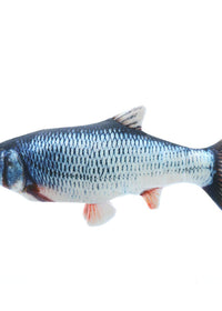 Catfish