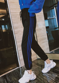 Blue belt