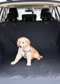 KC08 standard trunk model