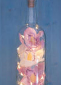 Bottle Stopper Warm Color