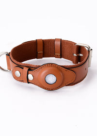 Bear Brown