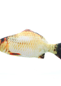 Carp