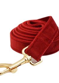 Dog Leash