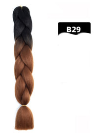 B29