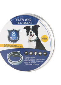 Dog Dark blue