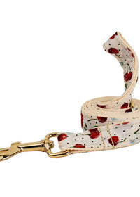 Dog Leash