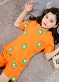 Orange sunflower