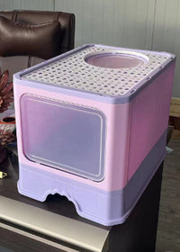 Pink Purple Double