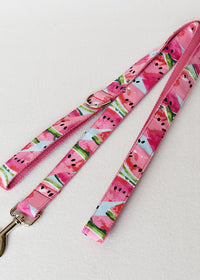 Leash