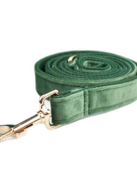 Dog leash2