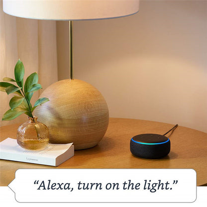 The Third Gen Voice: Smart Speaker Voice Assistant