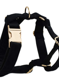 Dog vest1
