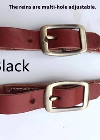 Bridle Black
