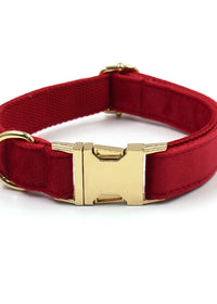 Red Buckle Collar