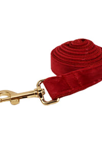 Dog leash3