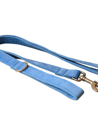Leash