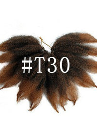 T30Color