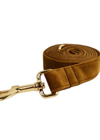 Dog leash2