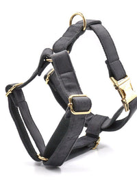 Gold buckle chest