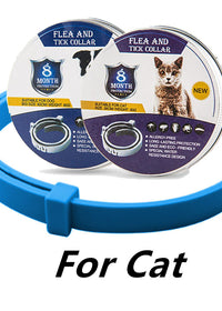 Cat sky blue