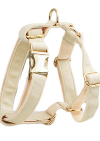 Dog vest4