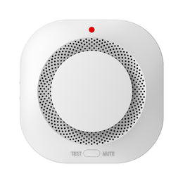 Door Alarm