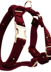 Dog vest1